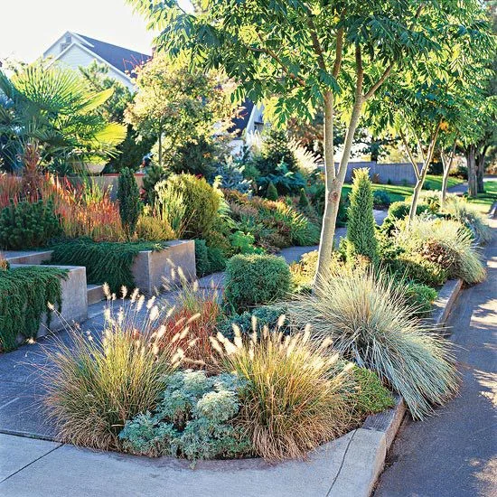 GRASSES AND SUCCULENTS