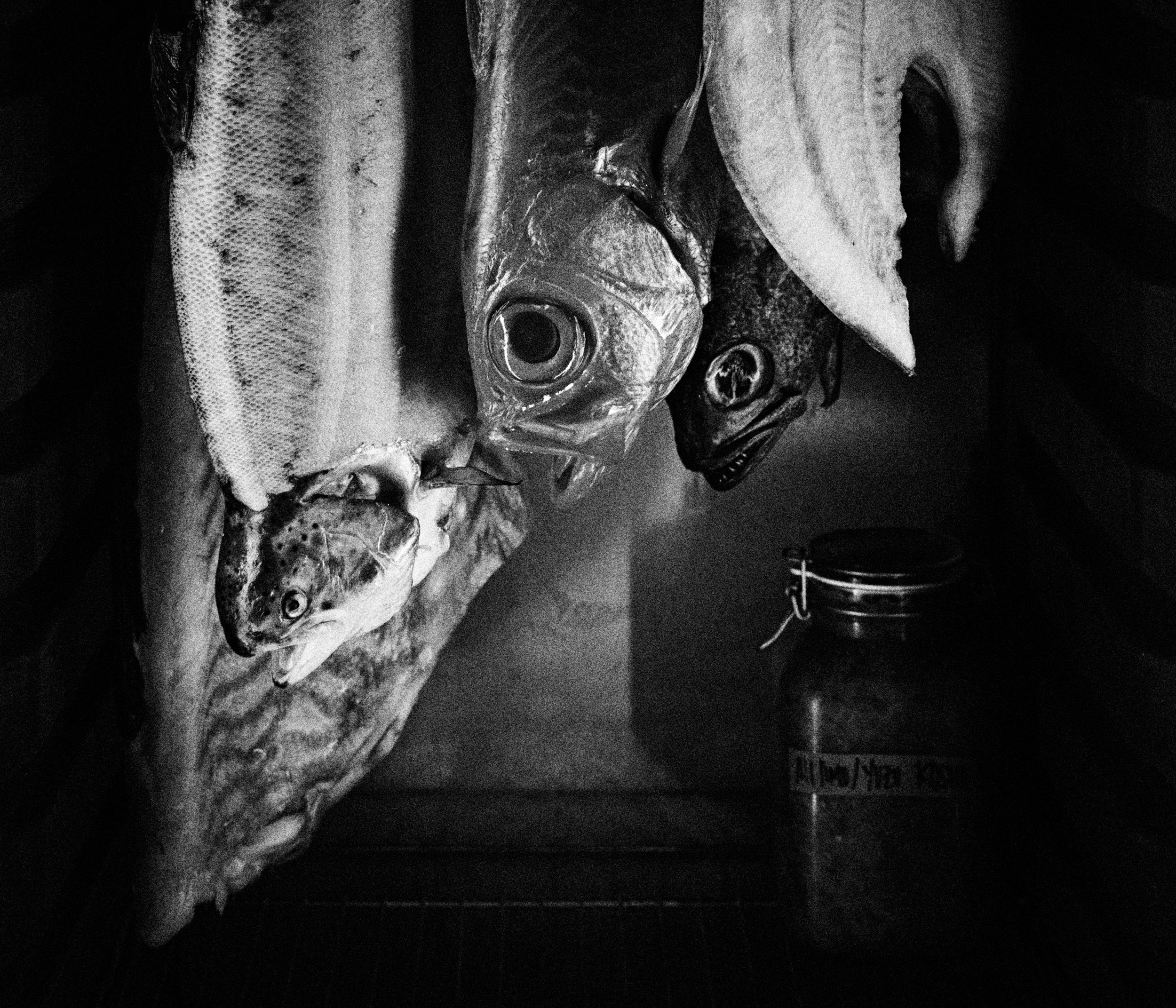 Capture_L1180121 2.jpg