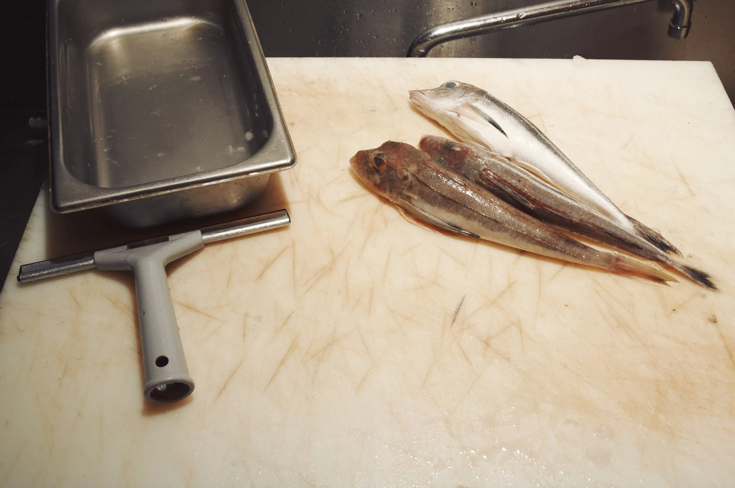 24-01-19_MOXON'S FISH MONGER_M11_L1004017.jpg