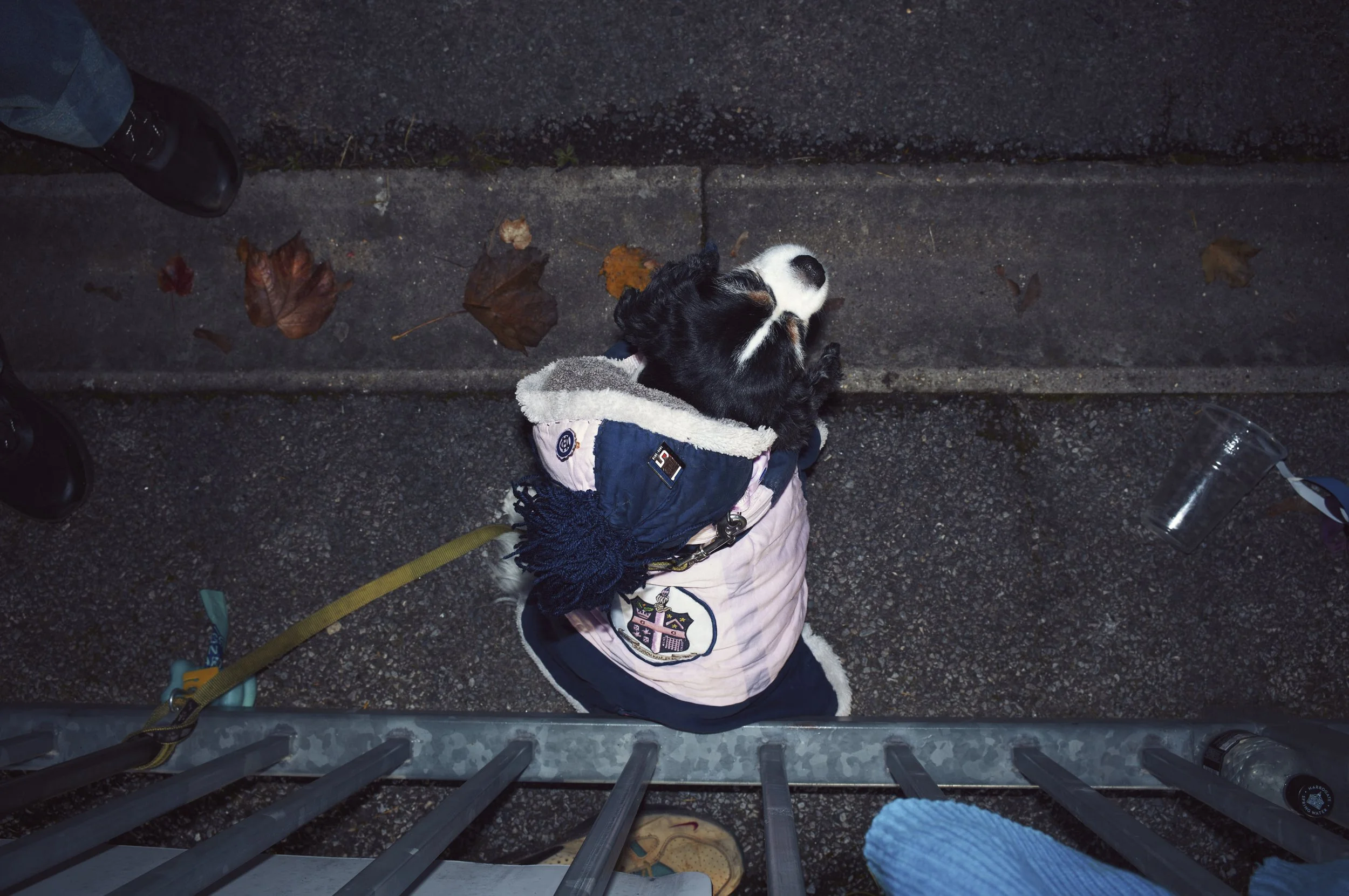 11.11.2023_HOME VS. MARGATE_@MICHAELACEDENO_L1004402.jpg