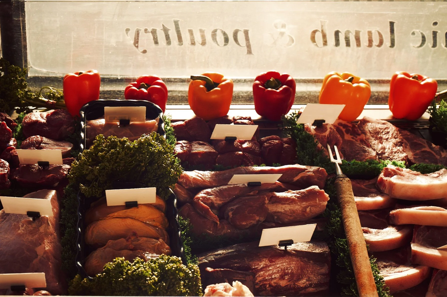 2024.02.23_WILLIAM ROSE_STAFF PORTRAITS_@MICHAELACEDENO 3.jpg