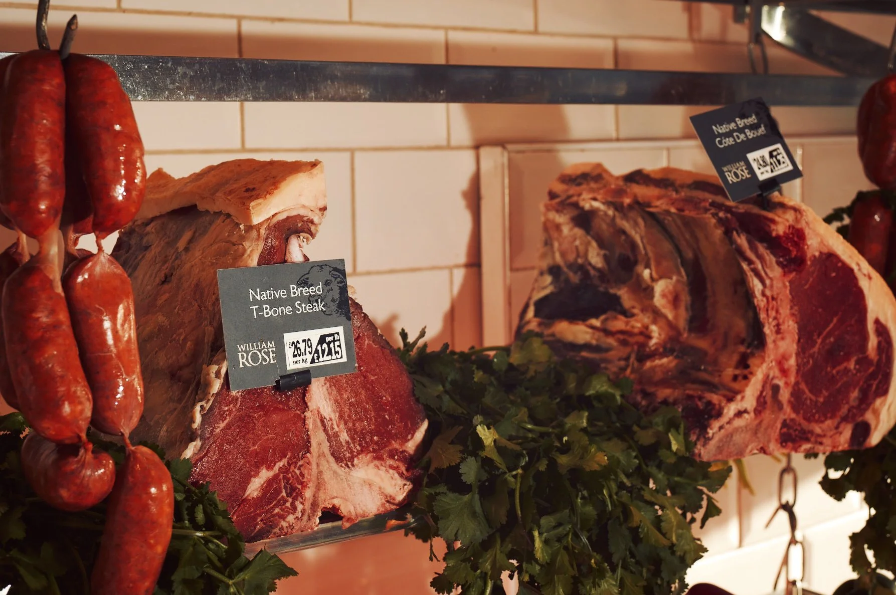 2024.02.23_WILLIAM ROSE_STAFF PORTRAITS_@MICHAELACEDENO 5.jpg