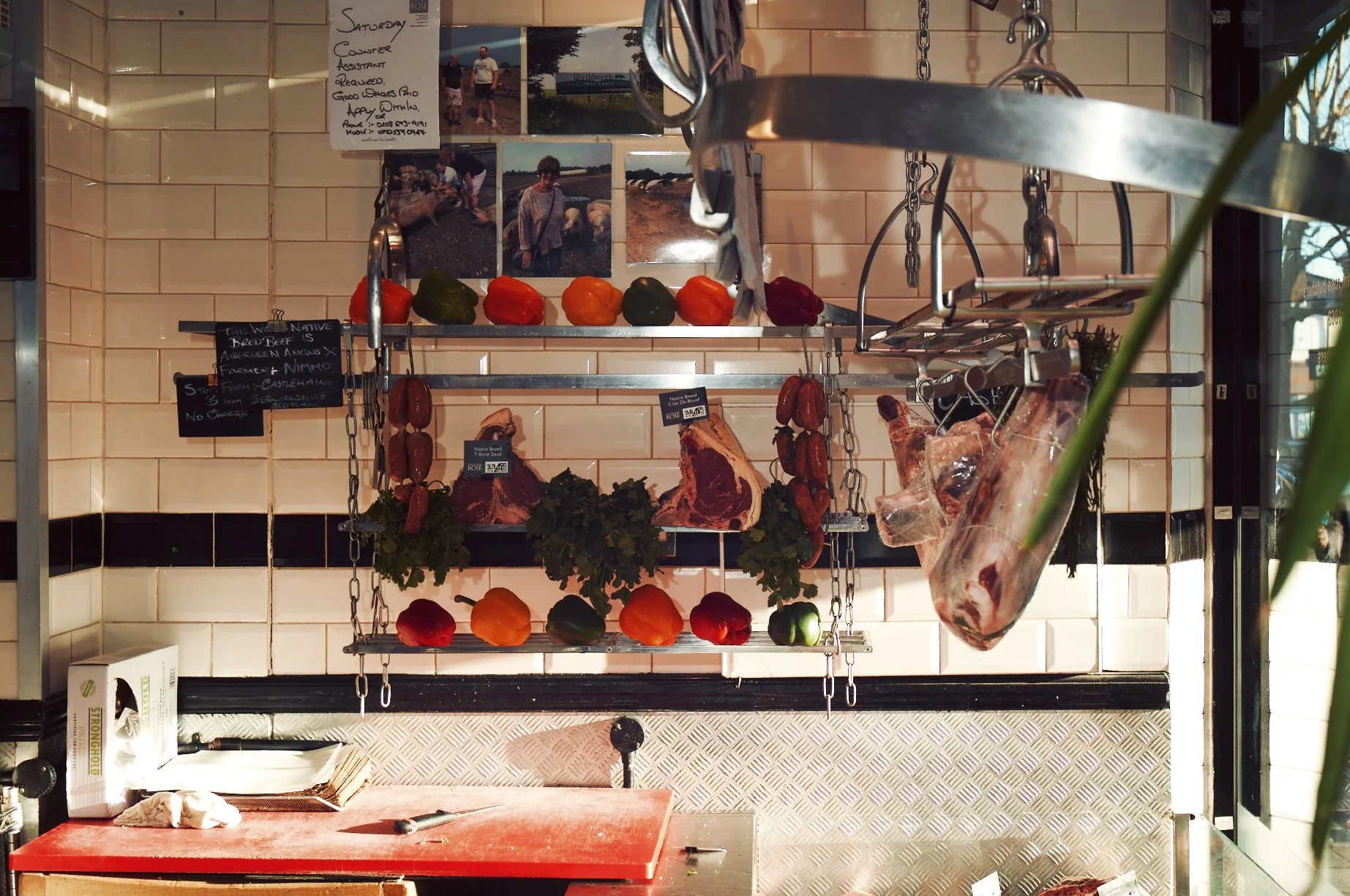 2024.02.23_WILLIAM ROSE_STAFF PORTRAITS_@MICHAELACEDENO.jpg