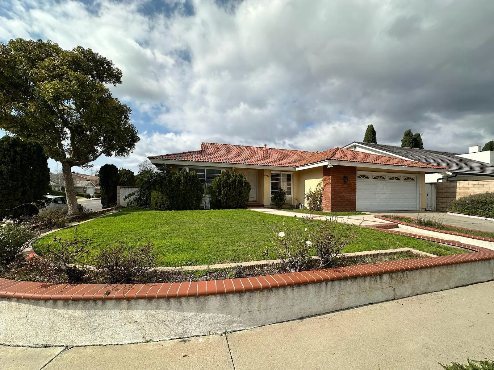 WhatsApp Image 2024-02-28 at 5.34.27 AM.jpeg