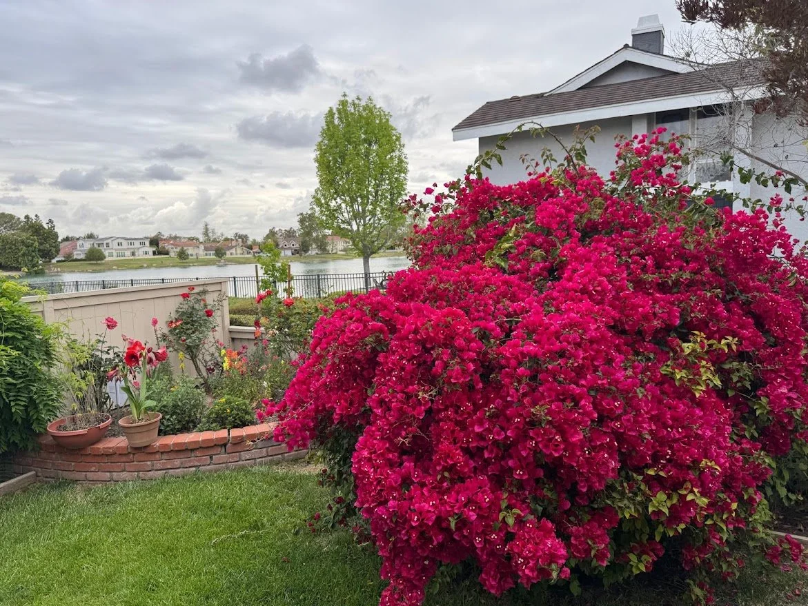 Why Now Is the Smart Time to Buy or Sell a Home in Irvine