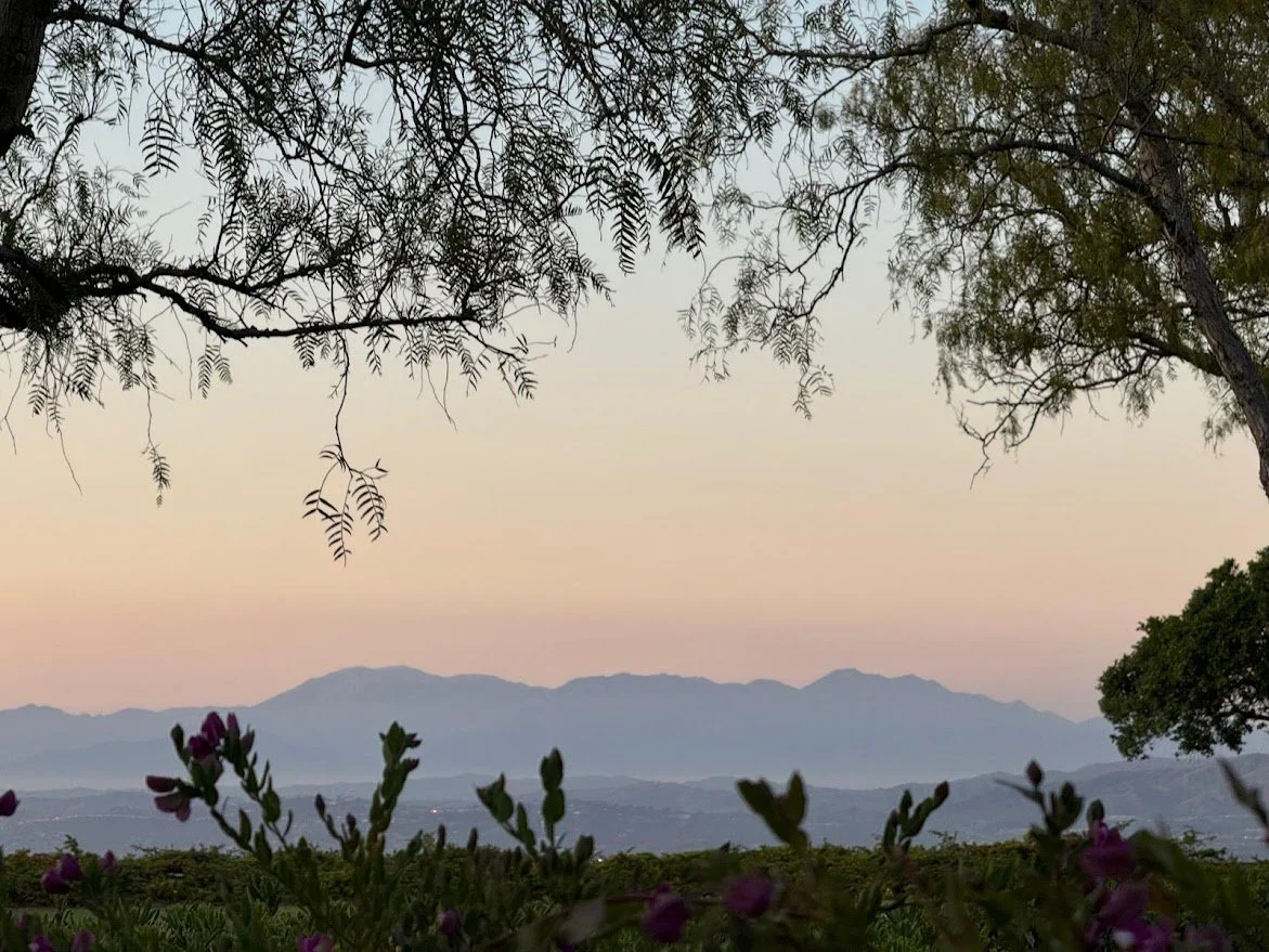 Maximizing Equity &amp; Selling Your Home Efficiently