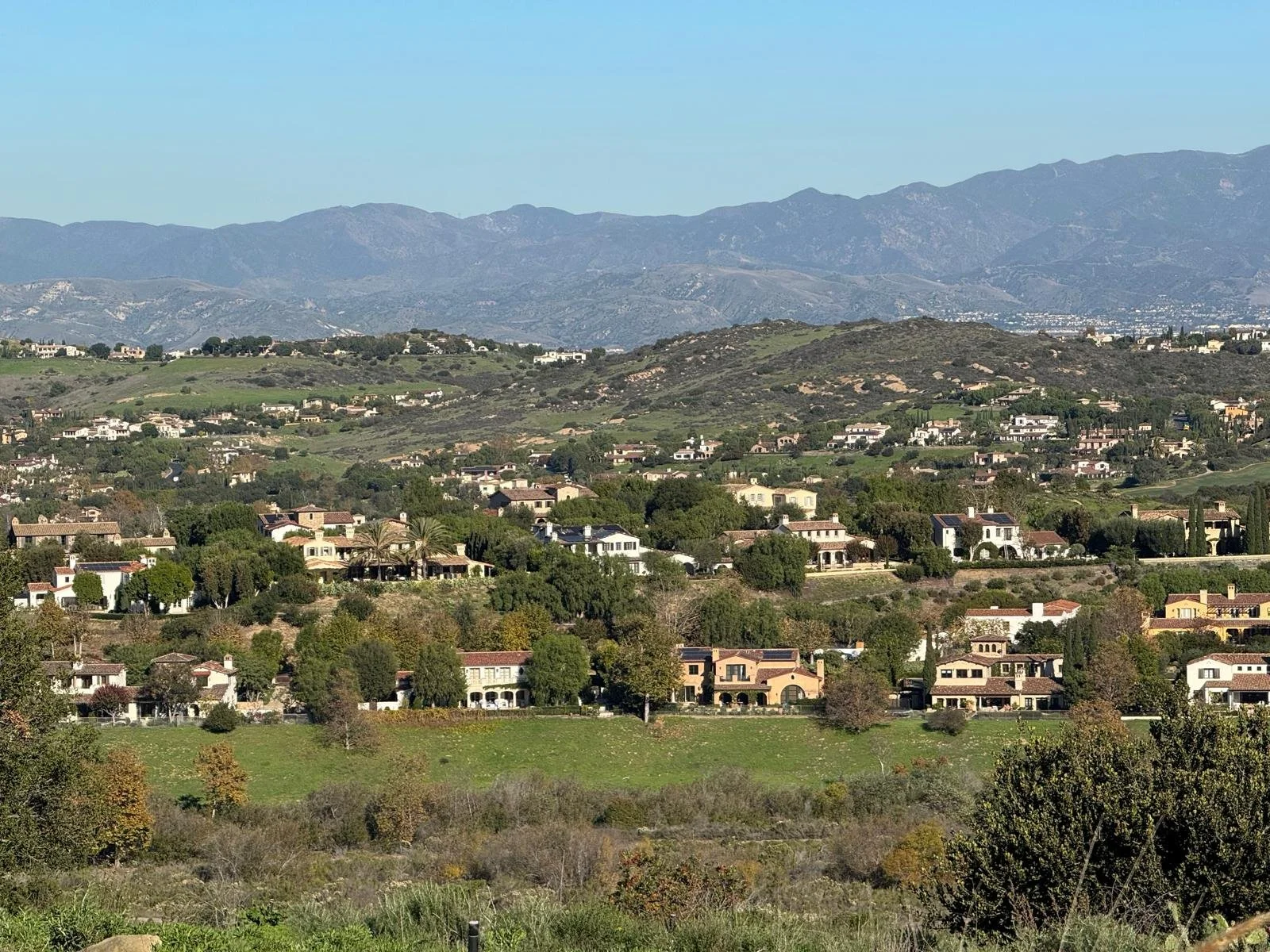 Biweekly Community &amp; Development Update