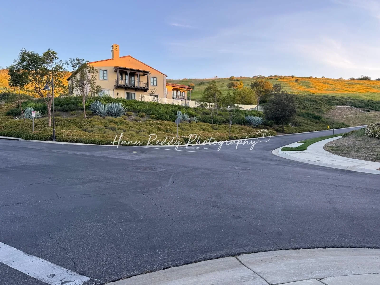 Hanu Reddy Photography 1600 X 1200 (3).jpg