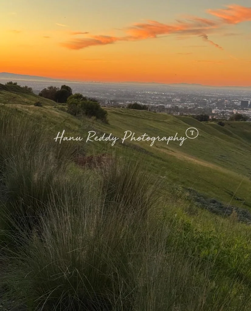 Hanu Reddy Photography portrait.jpg