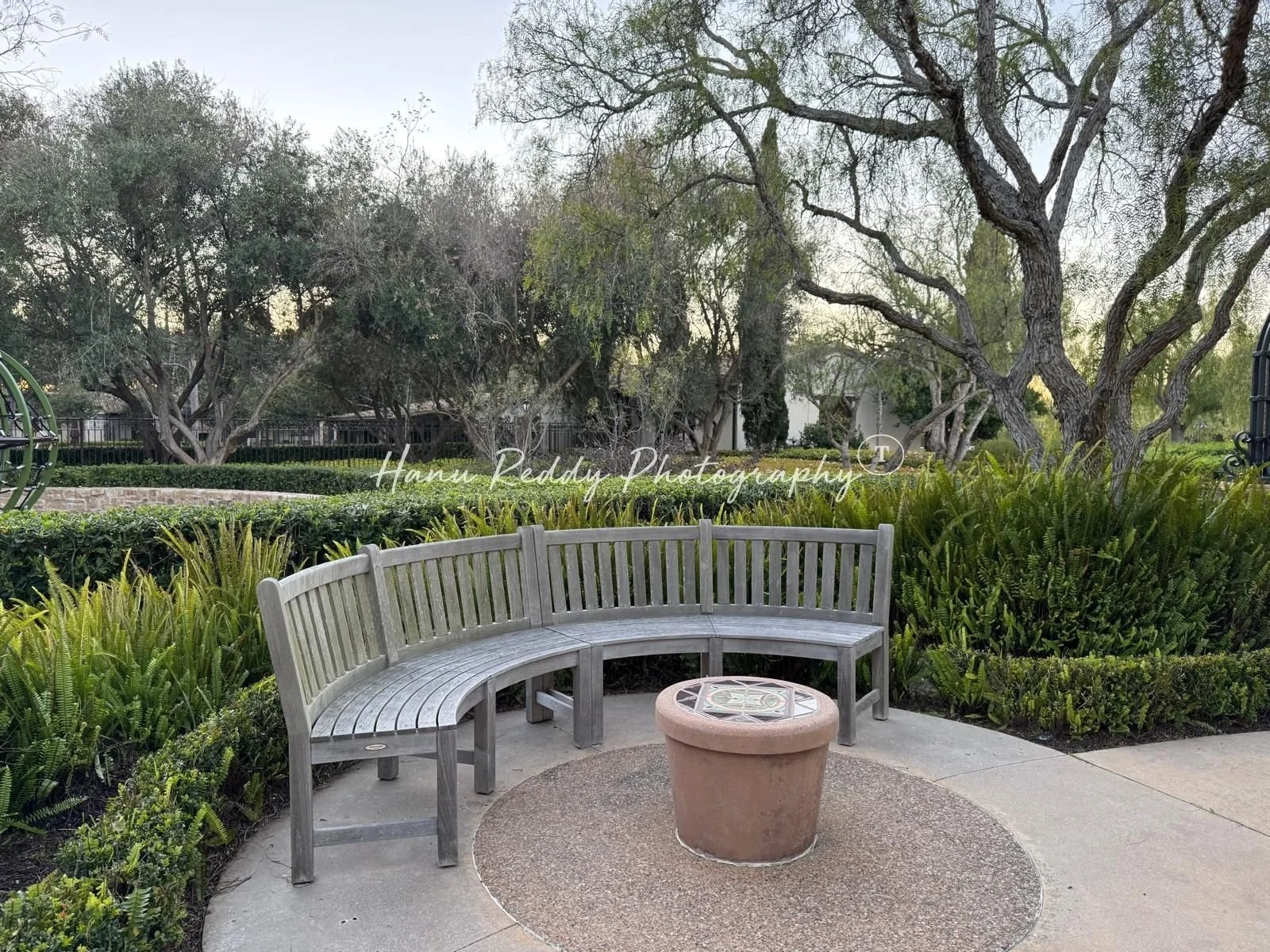 Hanu Reddy Photography 1600 X 1200 (7).jpg