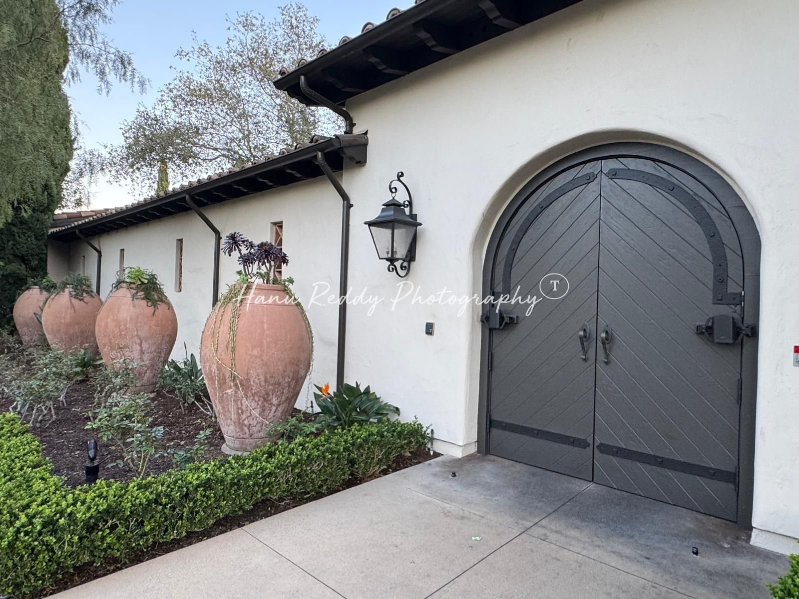 Hanu Reddy Photography 1600 X 1200 (6).jpg