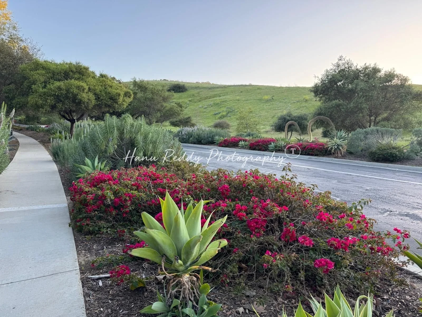 Hanu Reddy Photography 1600 X 1200 (16).jpg