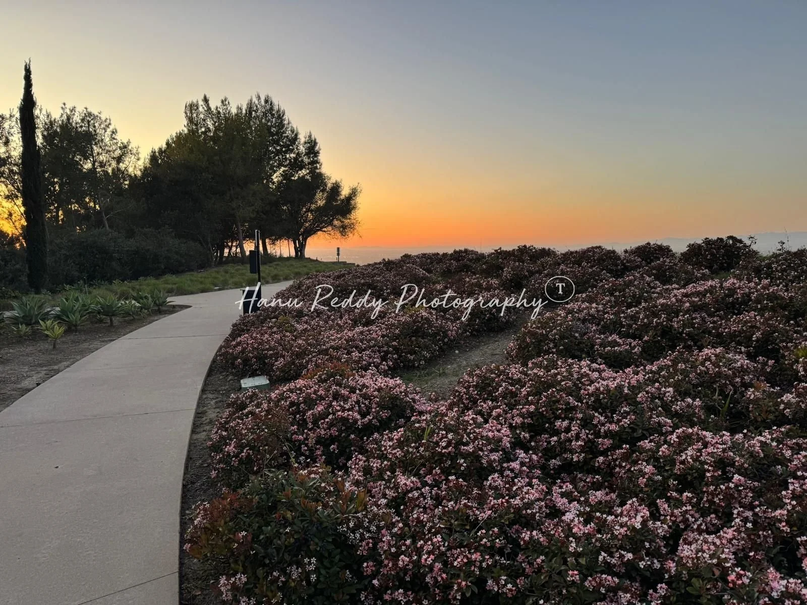 Hanu Reddy Photography 1600 X 1200 (12).jpg