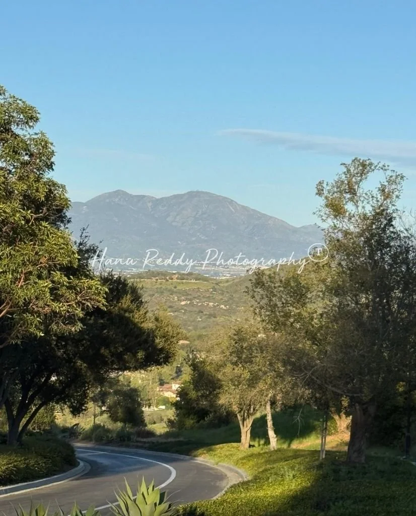 Hanu Reddy Photography portrait (4).jpg