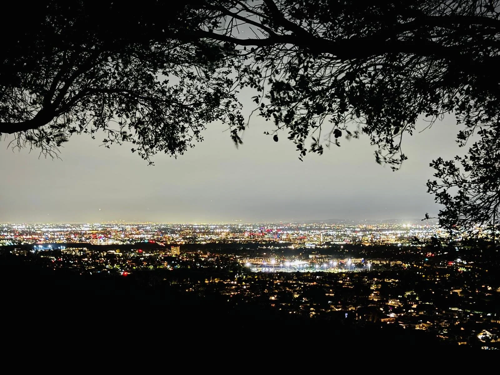 The Big Question Today: Buy, Sell, or Hold?