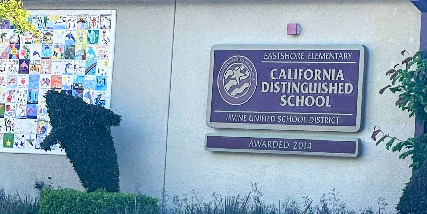 19.JPG