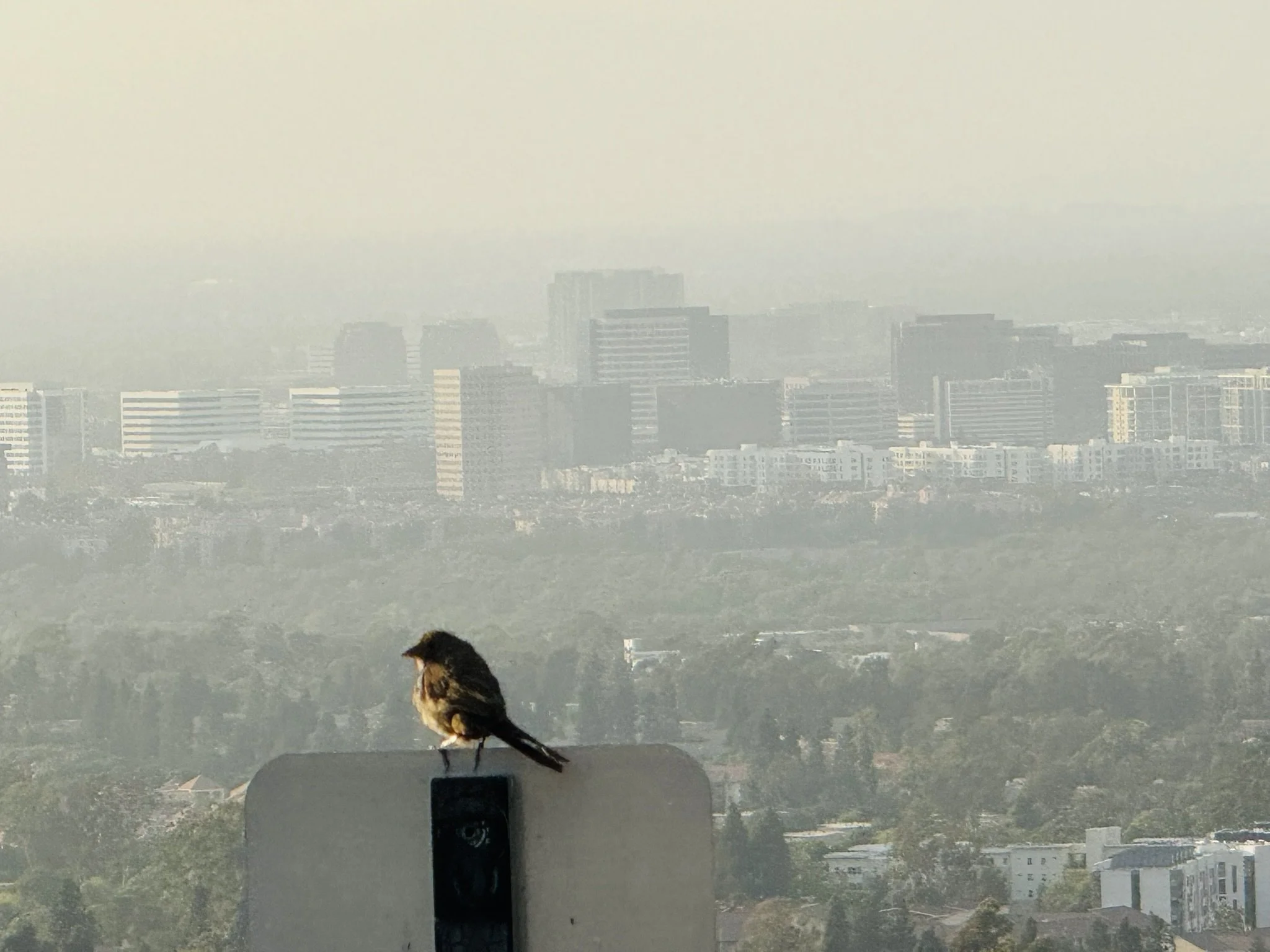 Major Win for Irvine: UC Global Health Institute Moves Headquarters to UCI
