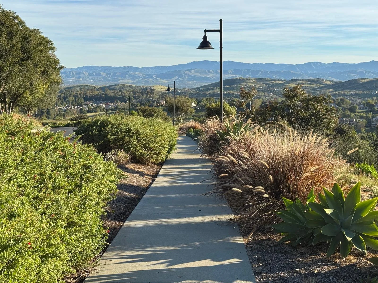 Building a Thriving Community: How Irvine’s Infrastructure Attracts Global Giants and Fuels Local Growth