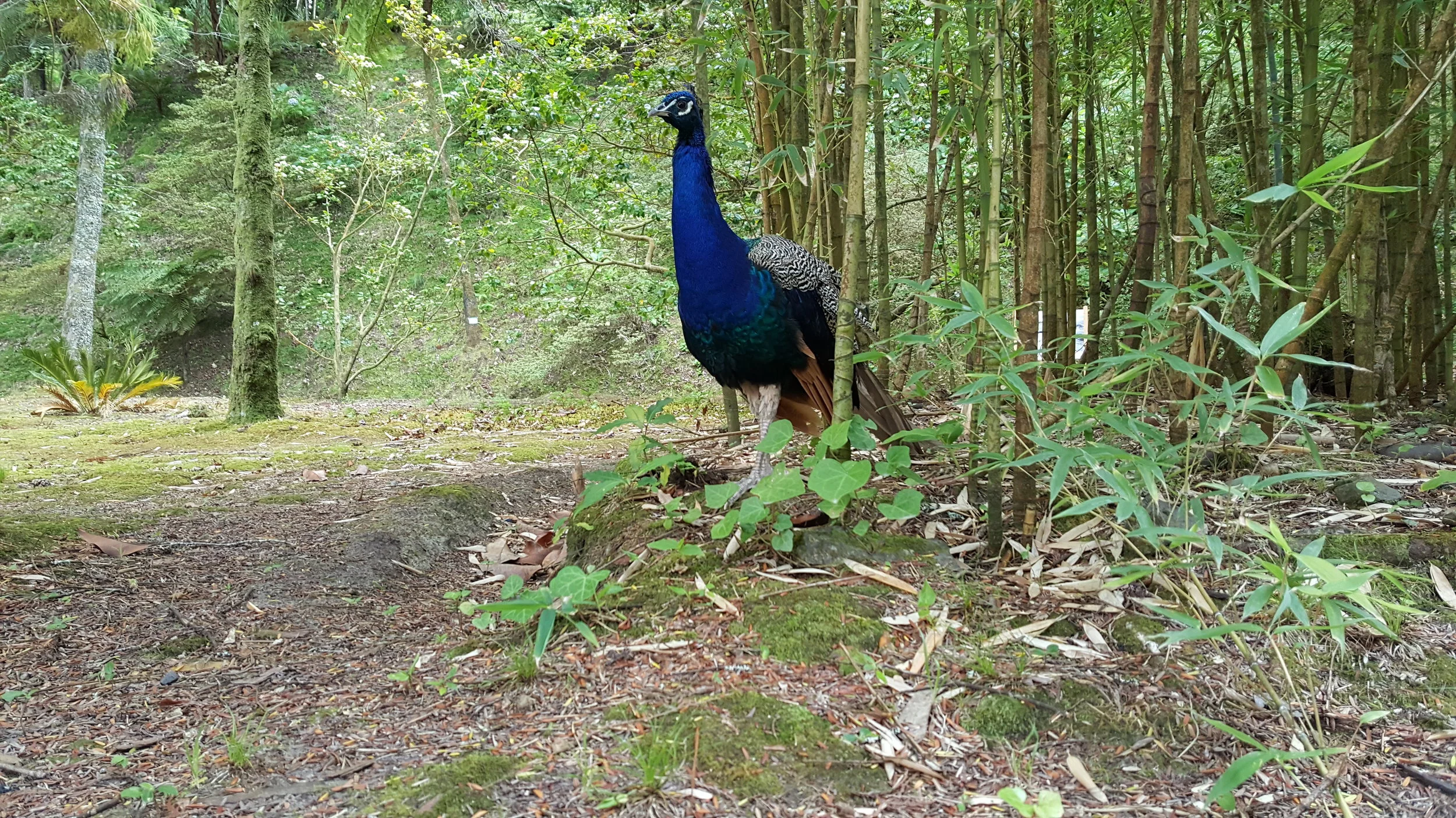 20160919_122927.jpg