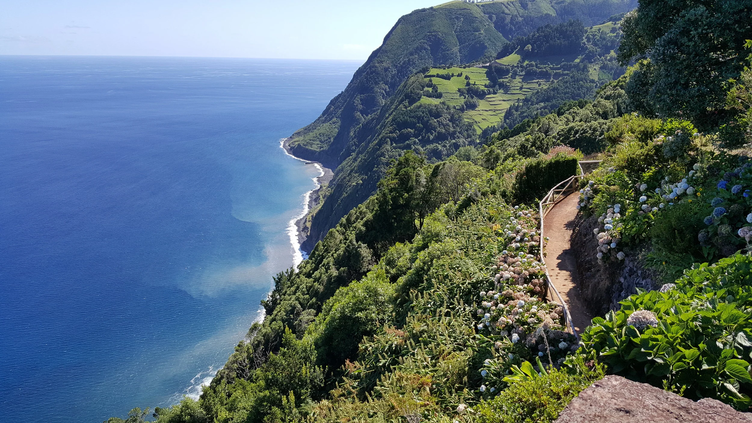 20160916_145117.jpg