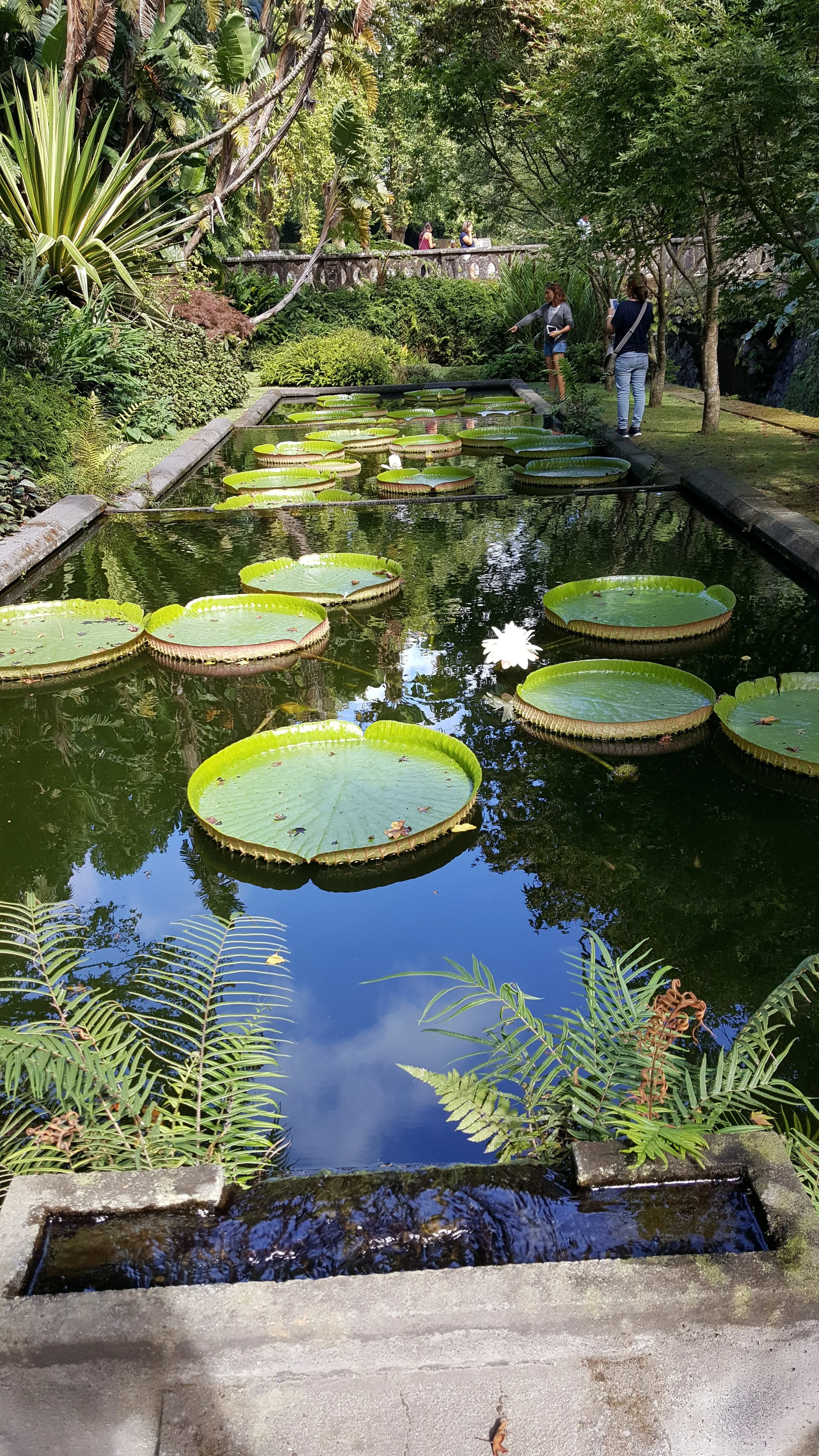 20160919_151809.jpg