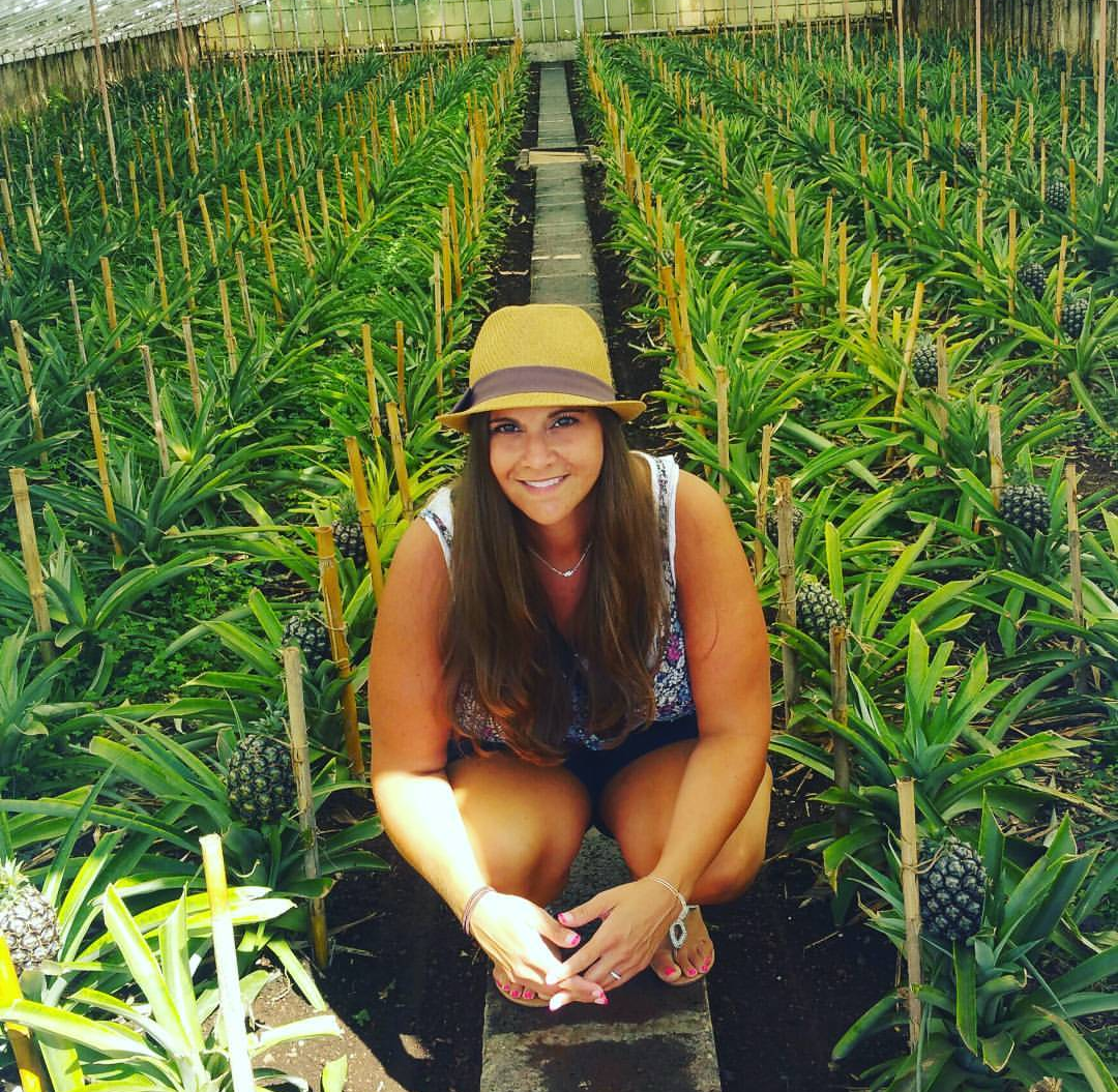 Arruda Pineapple plantation