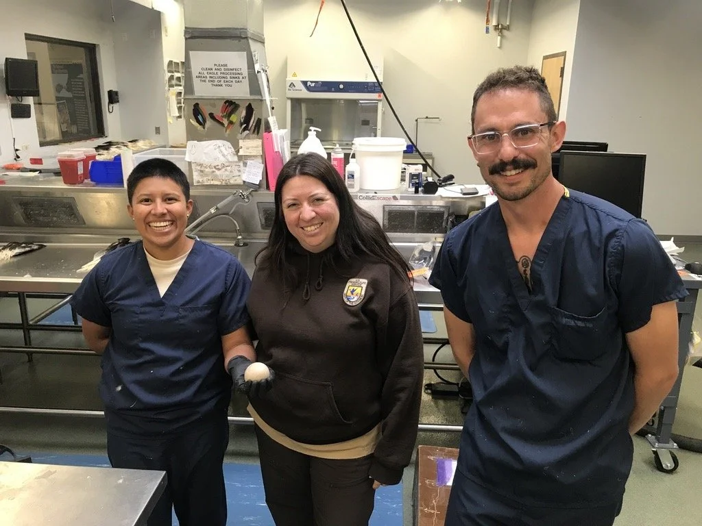  National Eagle Repository staff holding the donated Golden Eagle egg 
