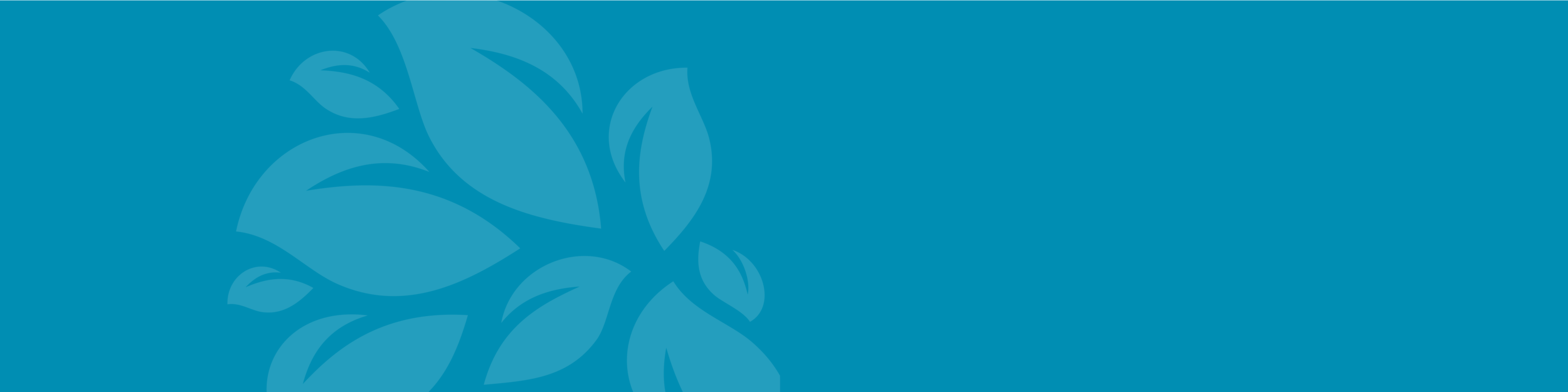 content_banner-01.png