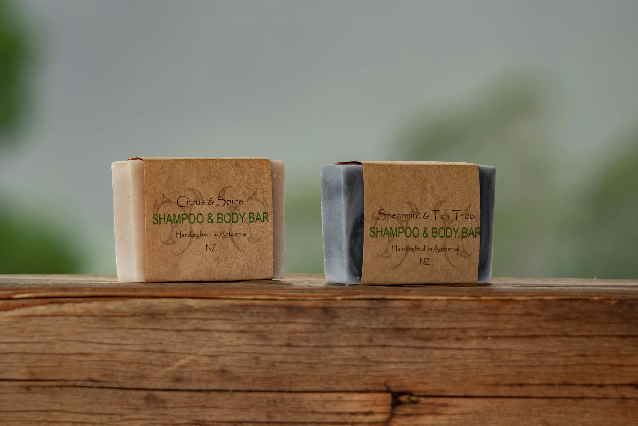11a_10-11_Shampoo and Body Bar.jpg