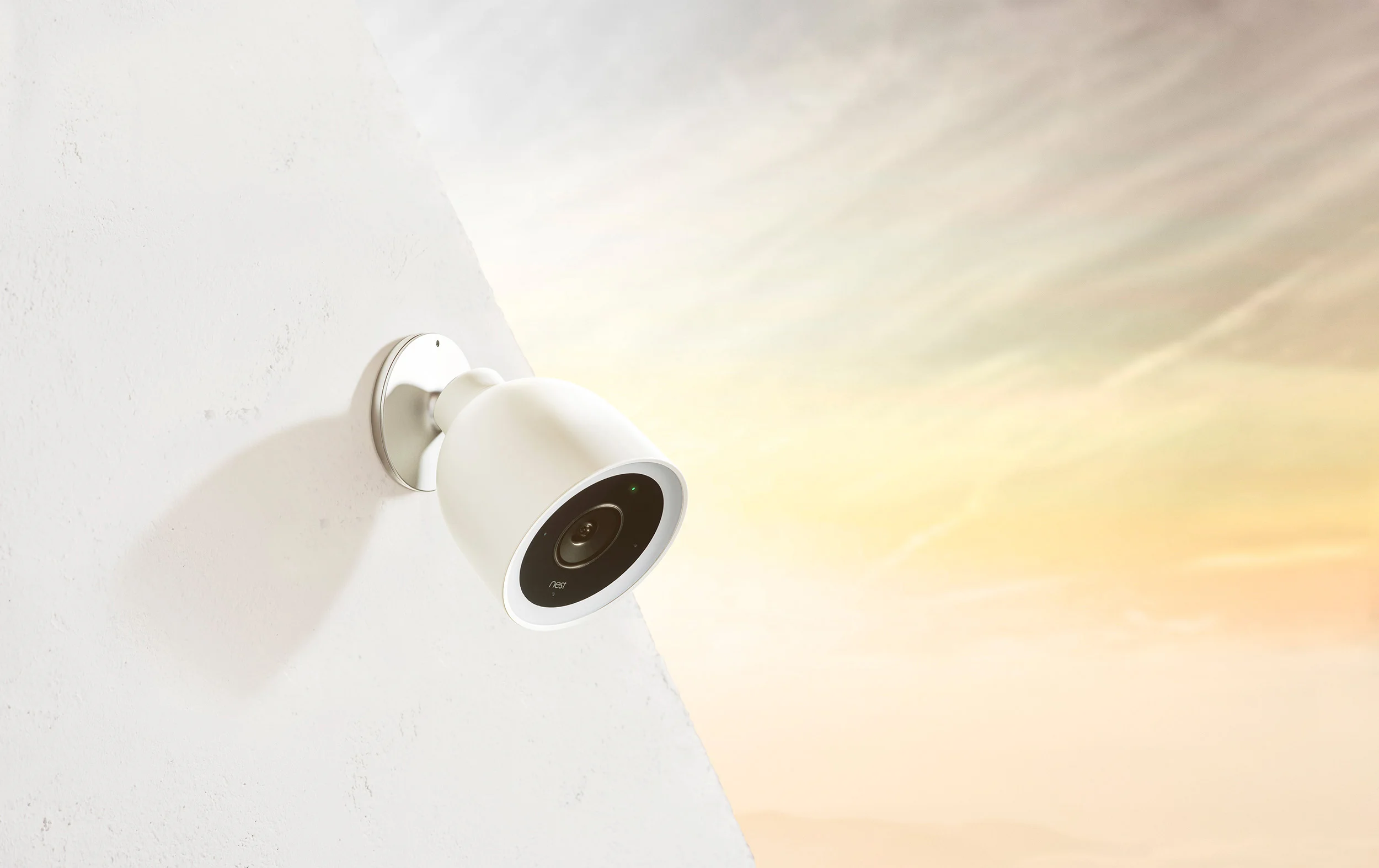 Nest_11.jpg