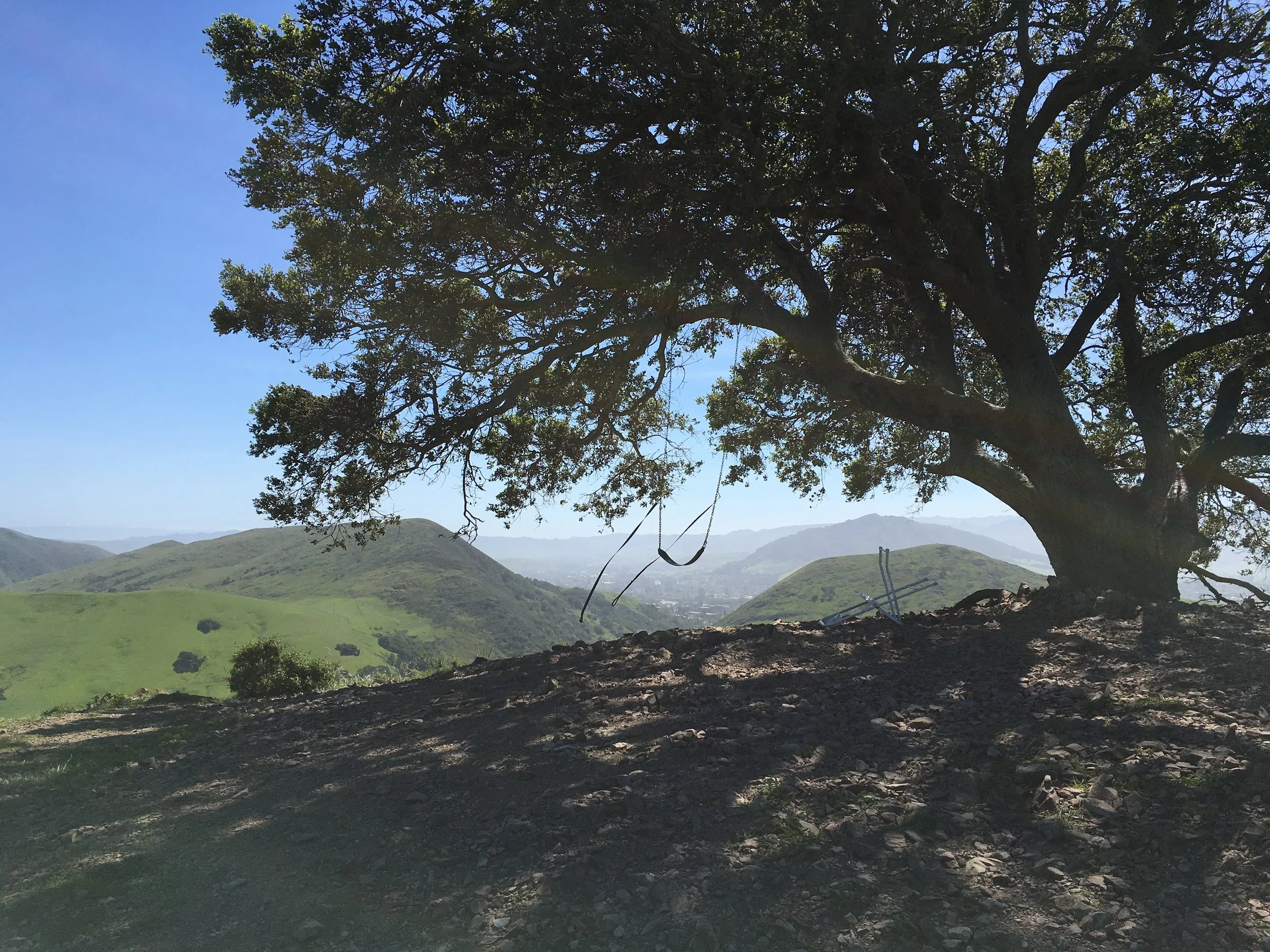 Serenity Swing close-up.JPG