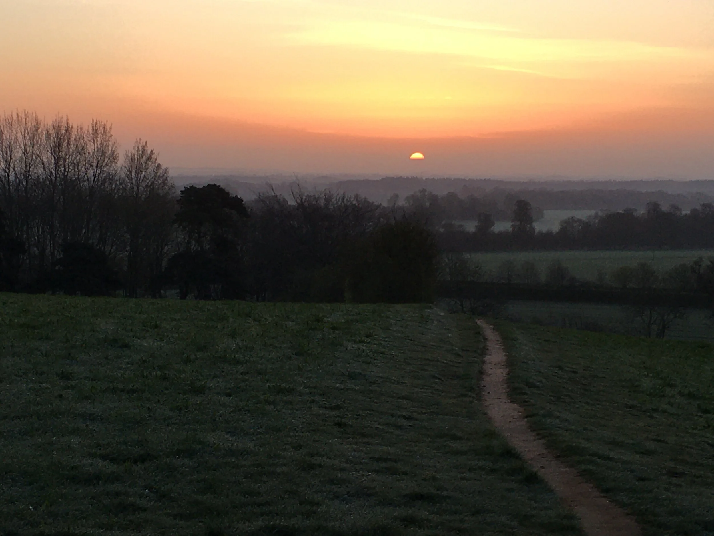 image12.JPG