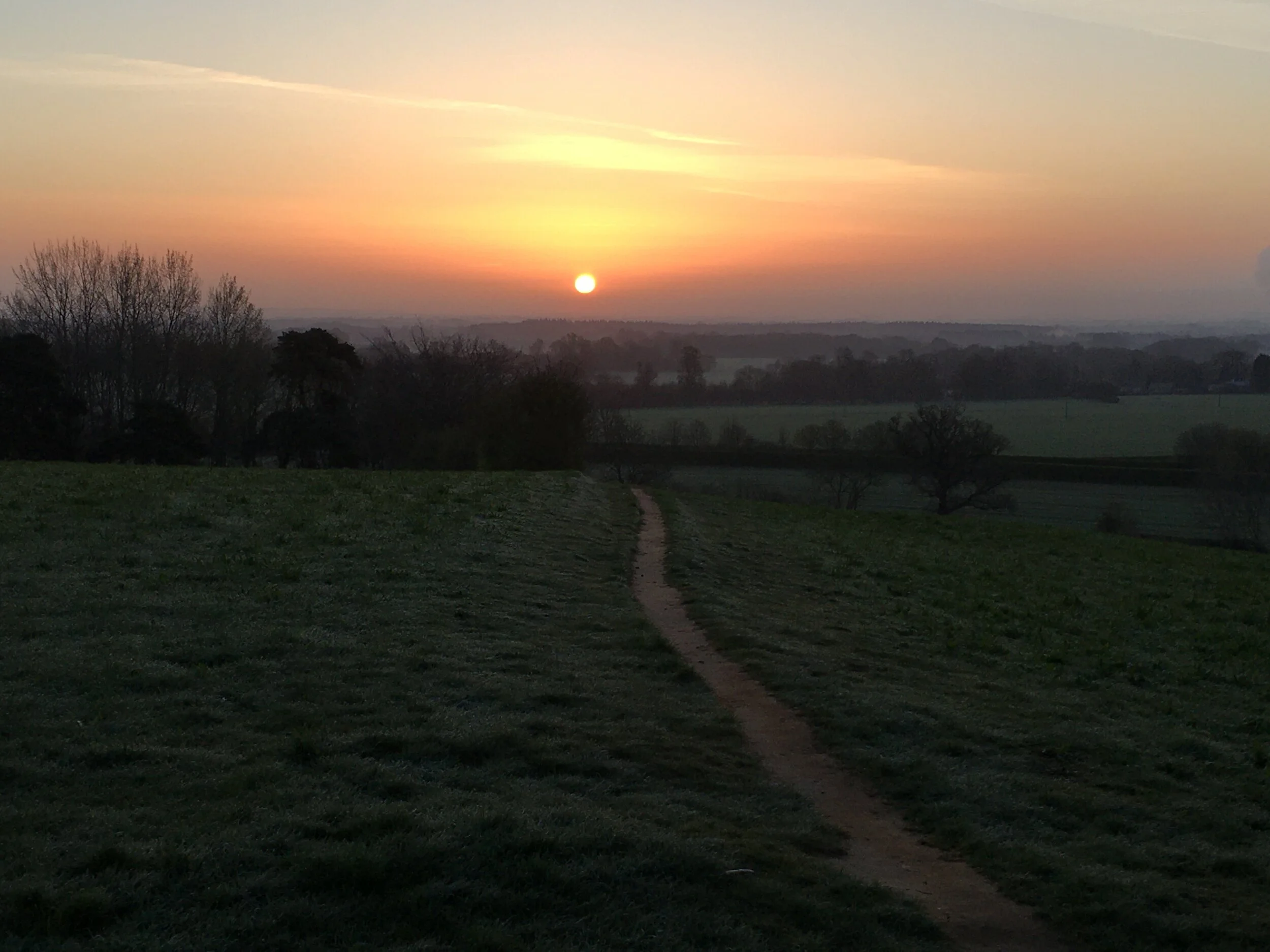 image14.JPG