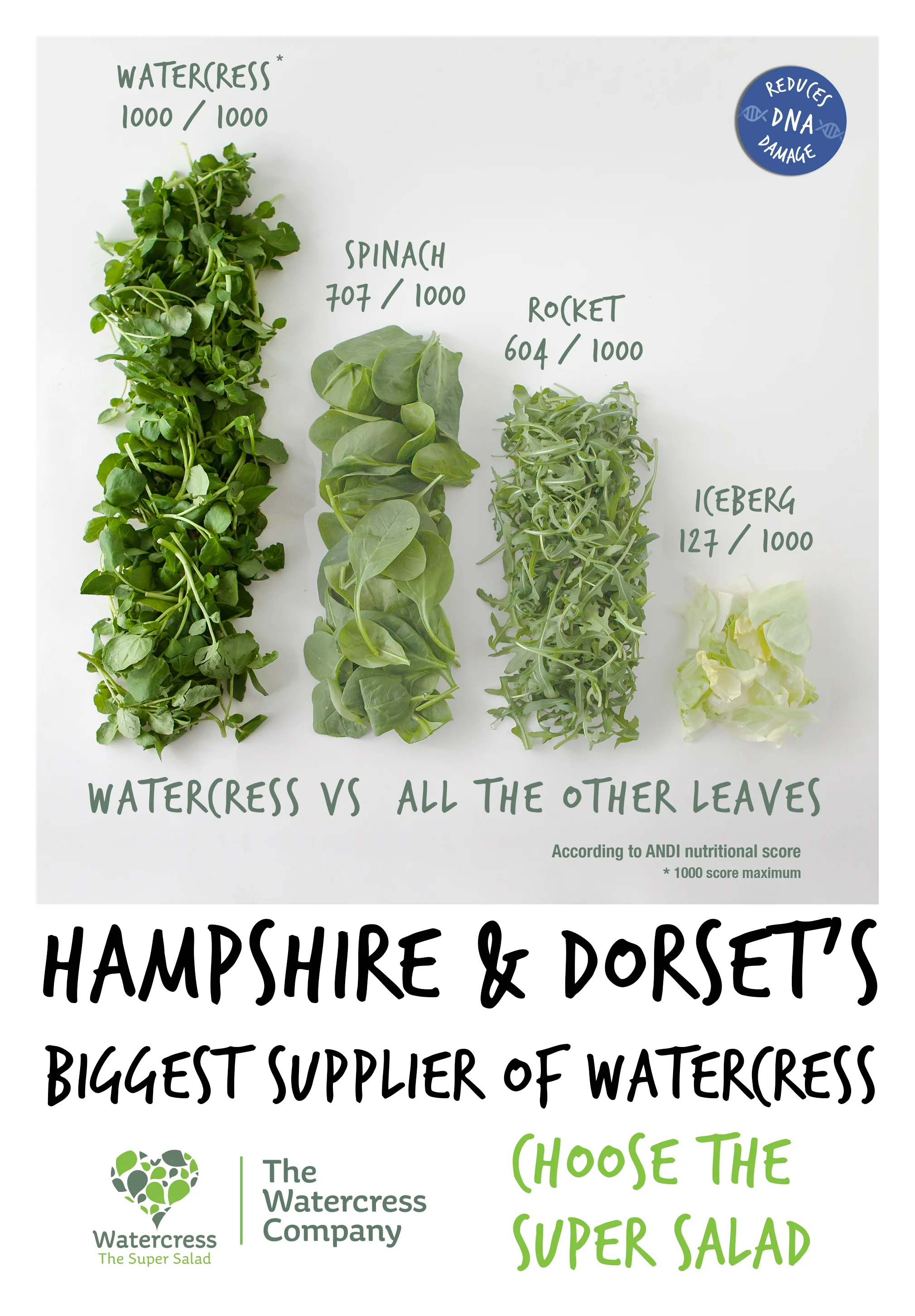 The Watercress Company's favourite infographic