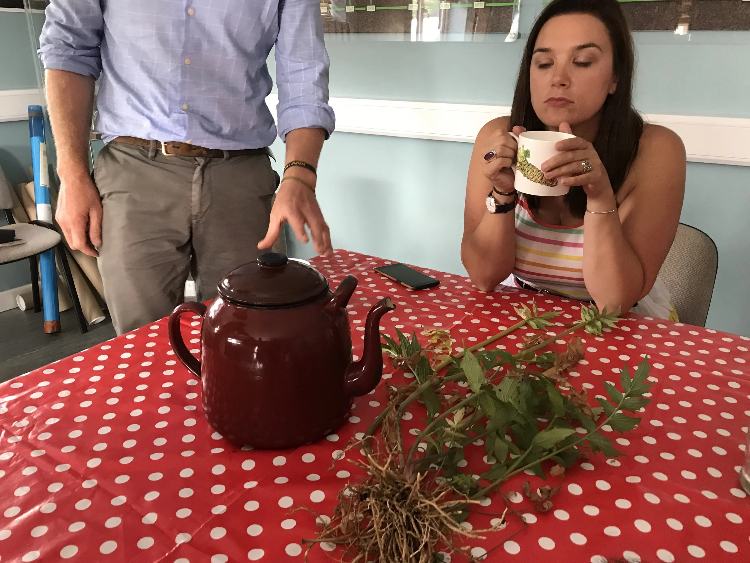 Wonderful aromatic and (we found) slightly salty, delicious sage tea