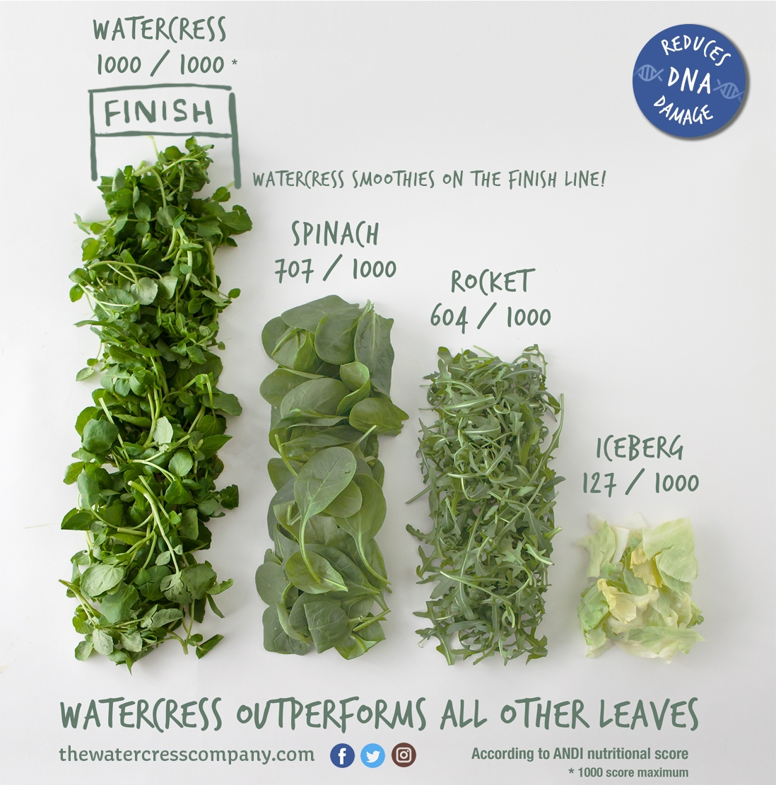 https://images.squarespace-cdn.com/content/v1/5b2b6f4770e802da9a6cc0c3/1534246749529-3C8E5Y23L4K4CY90L3A1/watercress%2Binfographic%2B.jpg