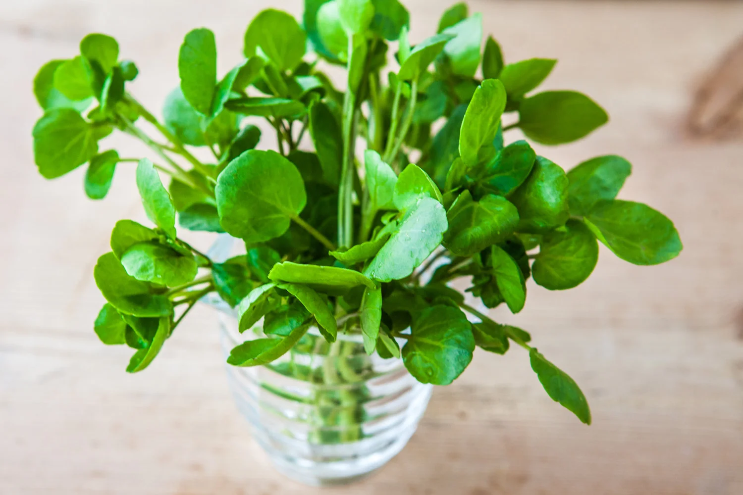 Did you know that watercress can help prevent DNA damage caused by the sun, our lifestyles and aging?