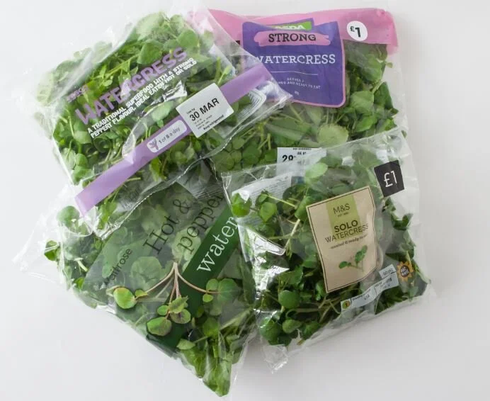Watercress sales set to soar in Spain after Fruit Attraction success
