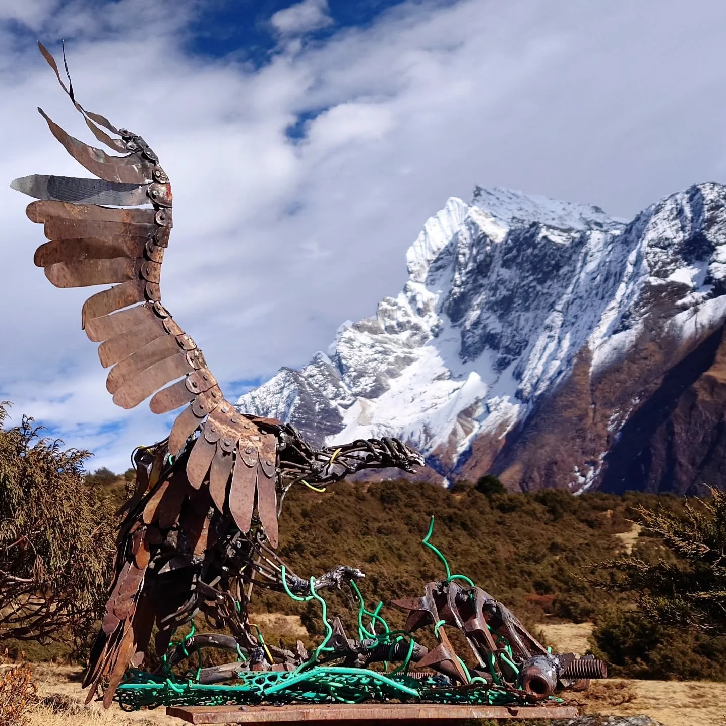 My work @sagarmathanext aims to raise awareness about vultures. They are endangered due to human impact (over 90% of them died in Asia alone, starting from the 90s), however super important to keep the balance of nature. They disinfect the viruses an