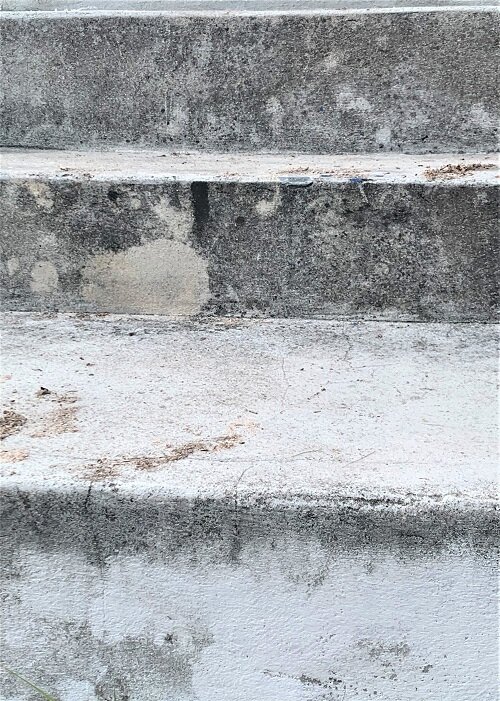 IMG_1288 (1).jpeg