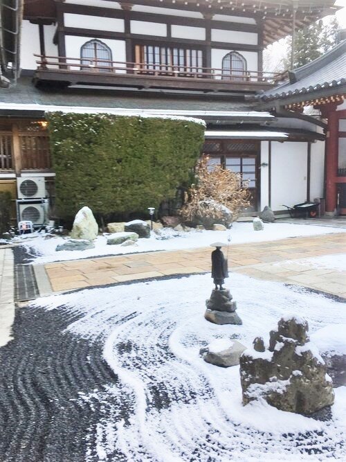 IMG_2669.jpeg