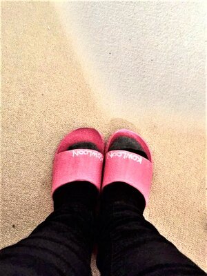 IMG_5316.jpeg