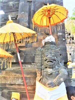 IMG_2494.jpeg