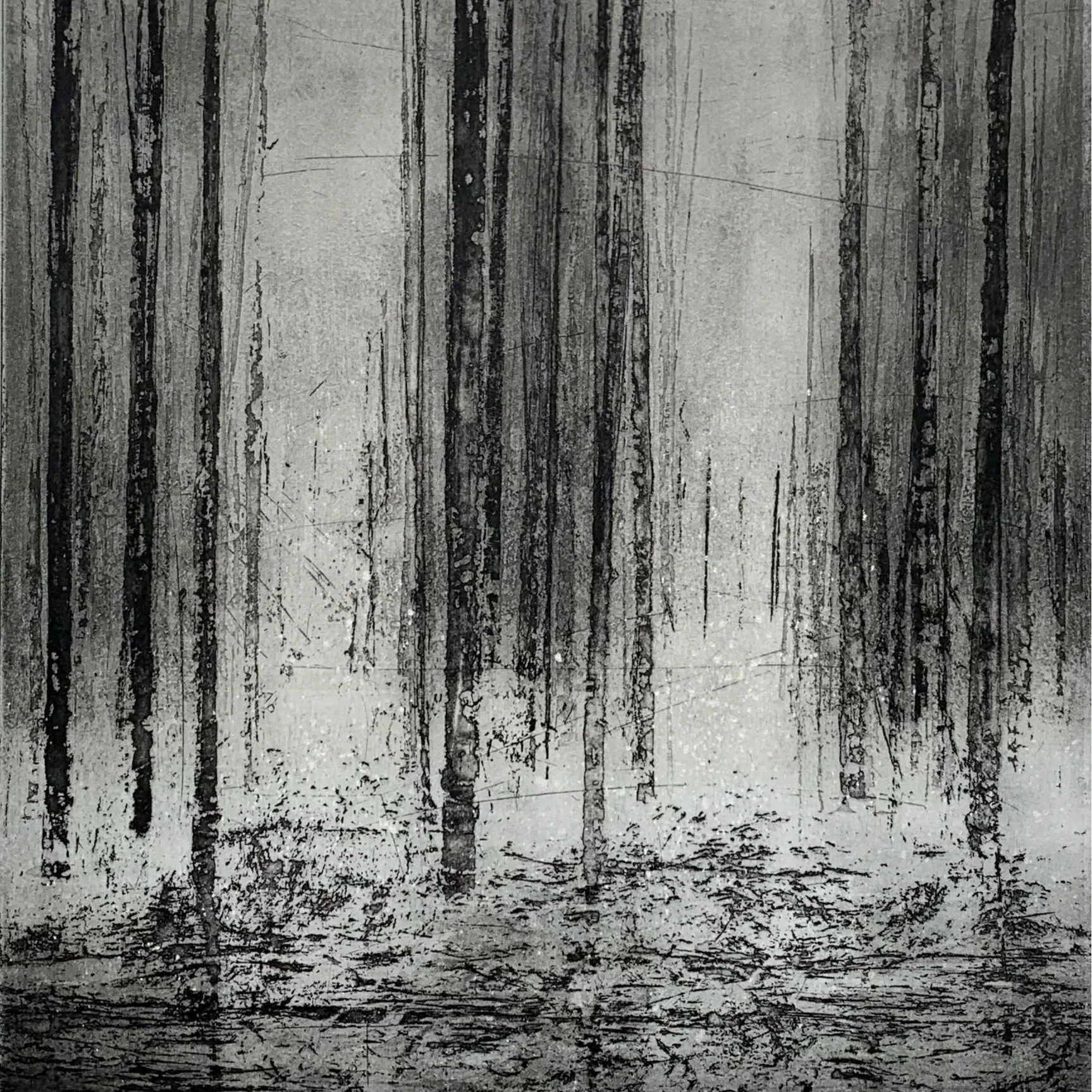 Root &amp; Branch | arboreal works