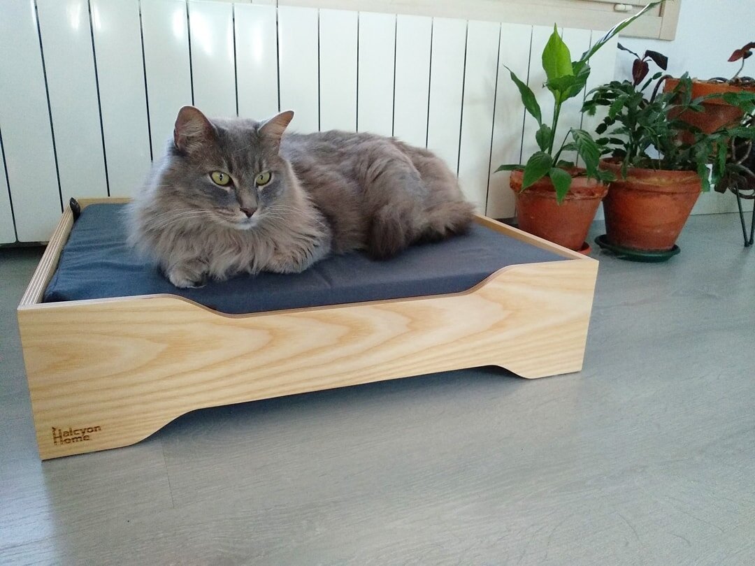 Good morning!! It's lovely to wake up in the Hedognist bed with the comfortable memory foam mattress. ❤️❤️❤️
Available from November 30th in our shop. Preorder now and get 10% discount
.
.
.
.
.
.
#cat #catsofinstagram #purr #meow #wood #woodworking 