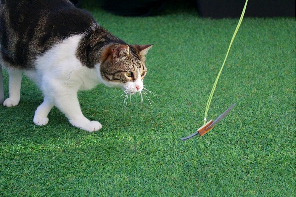 Are you ready to play? 
Made with recycled polypropylene fiber and solid wood the Hocus wand is one of their favorite toys .
.
.
.
.
.
.
.
#cat #catsofinstagram #purr #musthave #happy #games #play #fun #instacat #home #love #friends #gifts