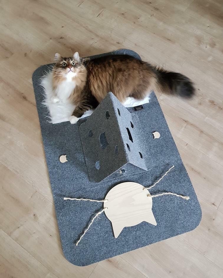 Alex the Siberian is also having lots of fun with the PLAYTIME playmat. Check out his bio to see his adventures 😸😸😸
.
.
.
.
.
.
.
.
.
#cat #catsofinstagram #purr #fluffy #siberiancat #design #designlover #instacat #instacats #designer #fun #funny 