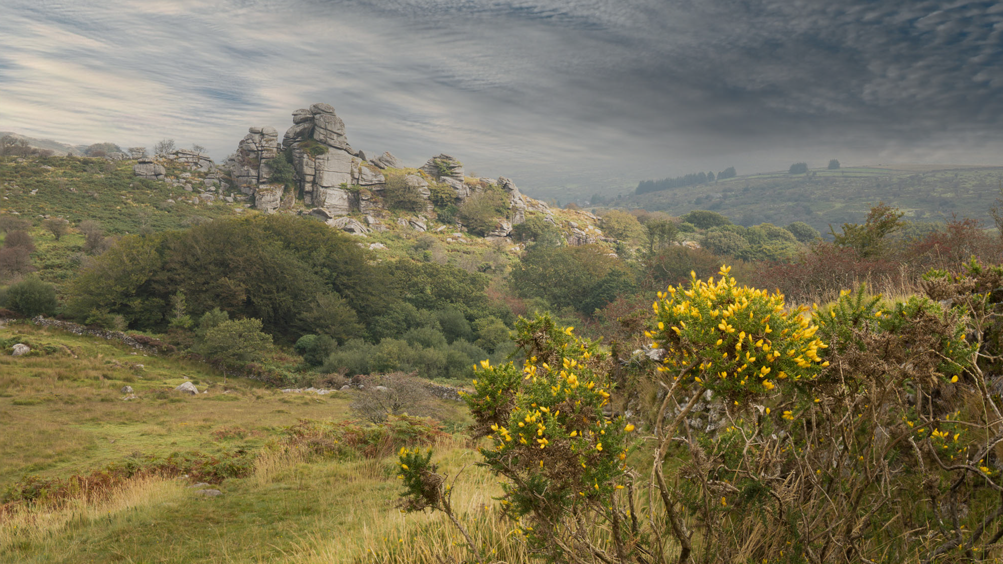 Vixen Tor.png