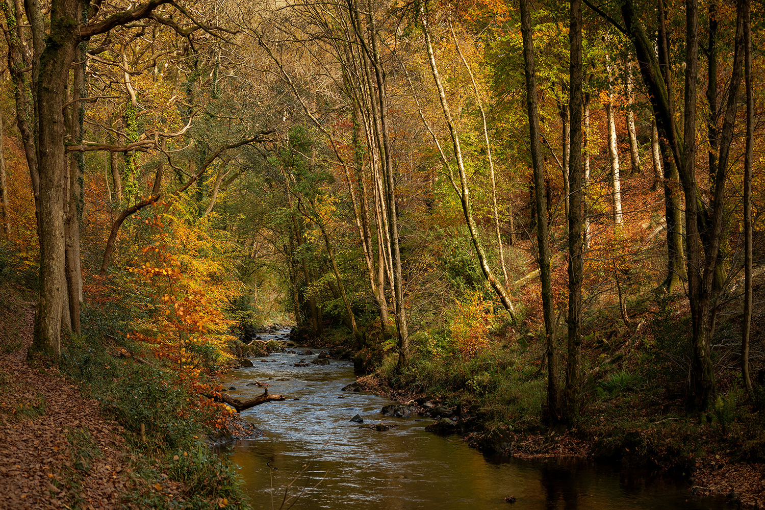 East Lyn River.png