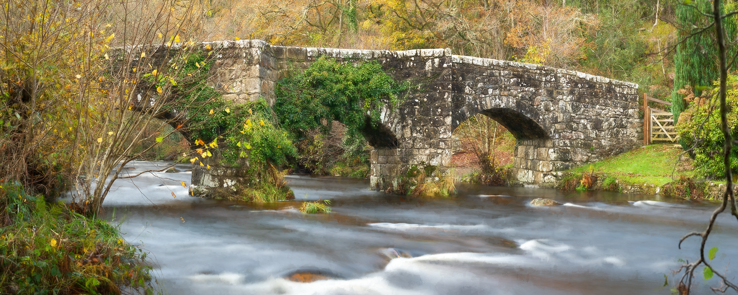 Fingle Bridge Pastel.png